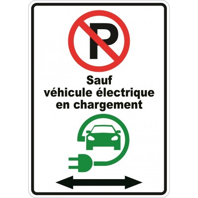 Affiche - Stationnement interdit sauf véhicule électrique double